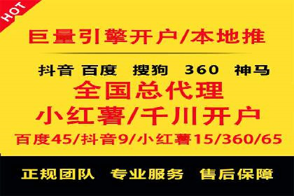 SEM代理案例：揭秘成功背后的秘密
